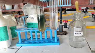 Analysis of Group 3 cation  Aluminum  Salt Analysis  Class 12 amp 11 Chemistry Practical NCERT [upl. by Illehs829]