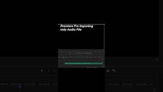 Premiere Pro Import only Audio [upl. by Millian]
