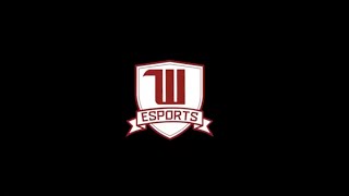 Welcome Wittenberg Esports [upl. by Ellehs]