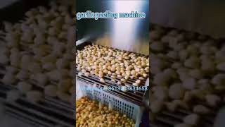 Garlic peeler Garlic Peeling machine production line [upl. by Crissie9]