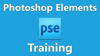 Learn How to Use the Lasso Tool in Adobe Photoshop Elements 2023 A Training Tutorial [upl. by Madeline]