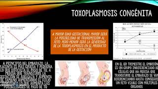 toxoplasmosis modulo 6 [upl. by Pascale]