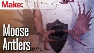 Diresta Mounting Moose Antlers [upl. by Gee]