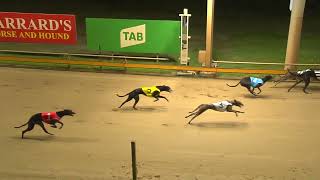 Rockhampton06112024Race2 [upl. by Breskin]