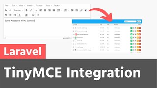 TinyMCE integration with Laravel Simple Filemanager [upl. by Merwin41]