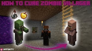 How To Cure A ZOMBIE Villager Minecraft 111 112 113 114 [upl. by Ultann264]