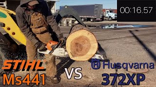 Stihl Ms441 vs Husqvarna 372xp Cutting Competition [upl. by Mayyahk62]