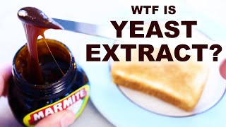 Why yeast extract is in tons of foods and why its delicious [upl. by Aya]