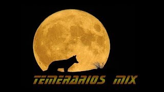 Temerarios Mix [upl. by Gaultiero]