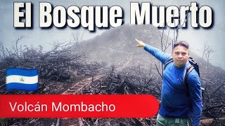 El bosque MUERTO del volcÃ¡n MOMBACHO en Granada NICARAGUA  Primer episodio [upl. by Allemaj]