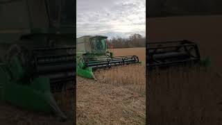 Soybean Harvest 2021 John Deere 9500 [upl. by Sanfourd318]