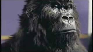 Phil Collins  Cadbury Gorilla advert [upl. by Yvette807]