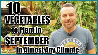 Top 10 Vegetables to plant in September [upl. by Donall]