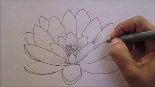 How to Draw a Water Lily flower simplified for beginners [upl. by Cortie40]