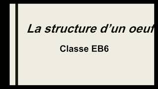 la structure dun oeuf de la poule classe EB5 [upl. by Hadleigh]