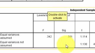 independent t test salaries and gender SPSS [upl. by Burley]