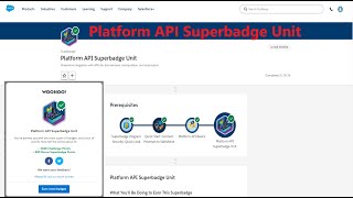 Platform API Superbadge Unit [upl. by Niggem]