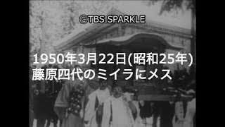 【TBSスパークル】1950年3月22日 藤原四代のミイラにメス（昭和25年） [upl. by Carce]