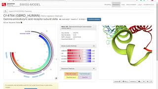 STRING proteinprotein interactions overview [upl. by Ferrel]