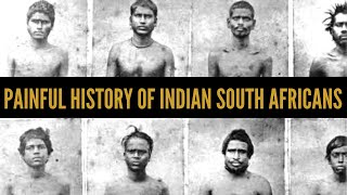 Indian South Africans The painful story of indentured labourers  African Biographics [upl. by Ognimod]