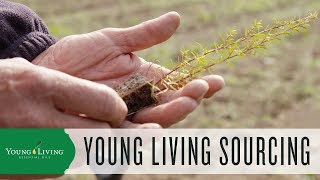 Seed to Seal The Young Living Sourcing Standards [upl. by Letsyrc]