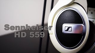 Sennheiser HD 599 Unboxing Video [upl. by Rimahs578]