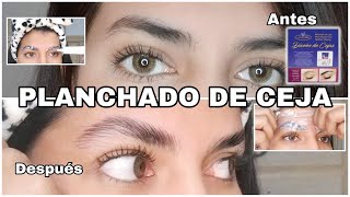 Como hacer un planchado de cejas paso a paso J Denis 🏠✨  planchadodecejas laminado cejas [upl. by Konyn]