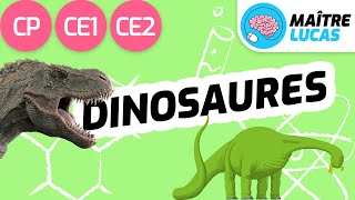 Les dinosaures  CP  CE1  CE2  Cycle 2  Questionner le monde  Sciences [upl. by Akeenahs788]