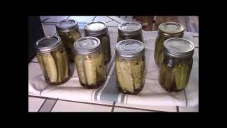 Crunchy Dill Pickle Recipe [upl. by Suivatram754]