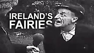 Irish People TERRIFIED of Fairies  Televised Éireann [upl. by Annazor615]