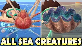 🦐 ALL 40 SEA CREATURES amp How To find Them In Animal Crossing New Horizons Northern amp Southern [upl. by Dion]