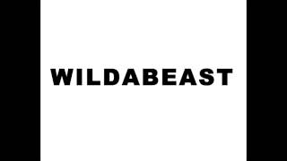 Wildabeast  Un Deux Trois Original Mix  Disco House [upl. by Amikat]