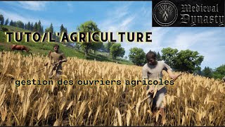 Lagriculture Gestion des ouvriers agricoleMedieval DyanstyMedieval DynastyFr [upl. by Natsirc341]