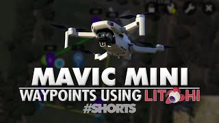 Using Litchi To Plan Waypoint Missions With Mavic Mini Shorts [upl. by Evangeline]