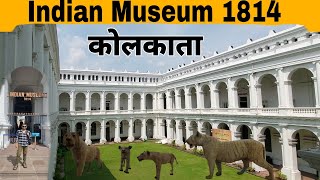 भारतीय संग्रहालय कोलकता 1814  Indian Museum Kolkata 🐅🦣🦓🫎 [upl. by Firestone]