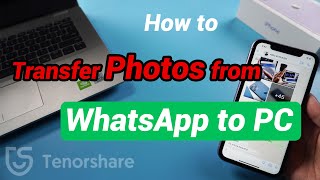 How to Transfer Photos from WhatsApp to PC 2020 [upl. by Fielding419]