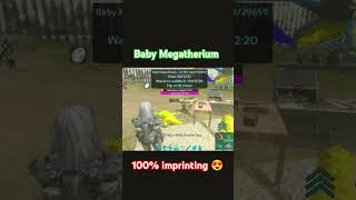 BABY MEGATHERIUM FULL IMPRINTING  ARK MOBILE  arksurvivalevolved arkmobile mythicxgaming ark [upl. by Marena]