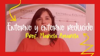 Explicación de ENTORNO Y ENTORNO REDUCIDO  Prof Mariela Amarilla [upl. by Oicul]