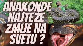 Anakonde Najteže Zmije na Svetu [upl. by Yrrah26]