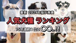 【最新版】2024年人気犬種ランキングTOP10！1位はやっぱり？ [upl. by Kopans]