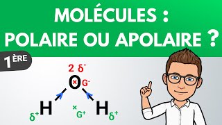 Déterminer la polarité dune molécule  Première  PhysiqueChimie [upl. by Eladnyl]