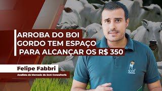 Boi gordo tem referência forte nos R 340 mas pecuarista busca os R 350 e com potencial para [upl. by Ardnahsal330]