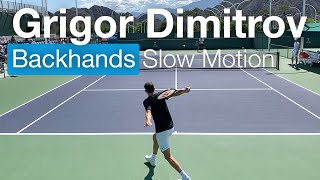 Grigor Dimitrovs OneHanded Backhands in Slow Motion  Court Level Tennis Practice [upl. by Box]