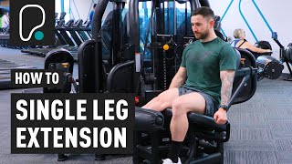 How To Do A Single Leg Extension [upl. by Tayler]