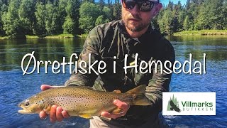 Ørretfiske i Hemsedal  Fluefiske i Hemsila [upl. by Ahseihs]