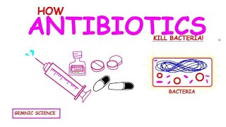 Antibiotics Explained How They Kill Bacteria and Fight Infectionsquot [upl. by Johnette633]