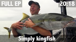 Catching Yellowtail Kingfish [upl. by Savanna]