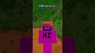 i set the minecraft record speedrun [upl. by Taite]