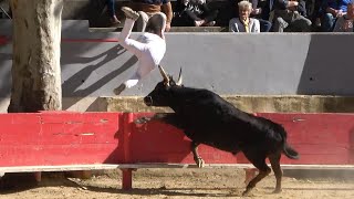 Vallabrègues080520241ére Série du Trident dorCourse CamarguaiseAvenir [upl. by Yoral]