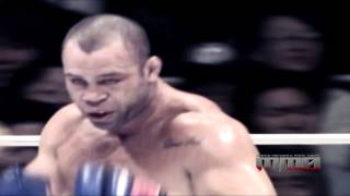 Wanderlei Silva vs Mark Hunt Highlights [upl. by Eilloh345]